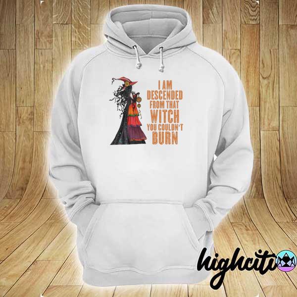 Witch I Am Descended From That Witch You Couldn't Burn Shirt hoodie