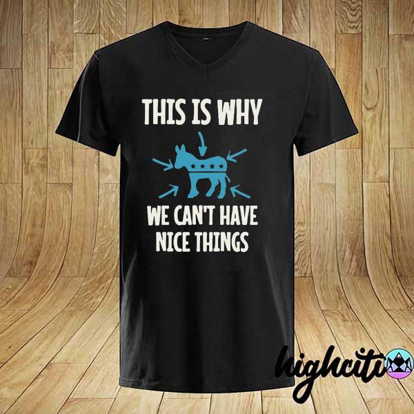 This is why we can't have nice things shirt