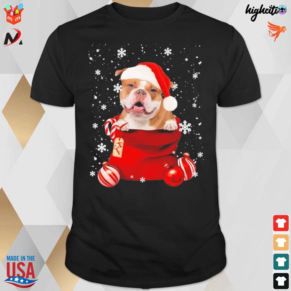 English Bulldog from santa Christmas t-shirt